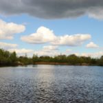 Karpervijver-11