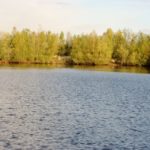 Karpervijver-9